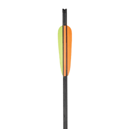 Image de Ek Archery - Pack de 6 carreaux en carbone de 20 pouces
