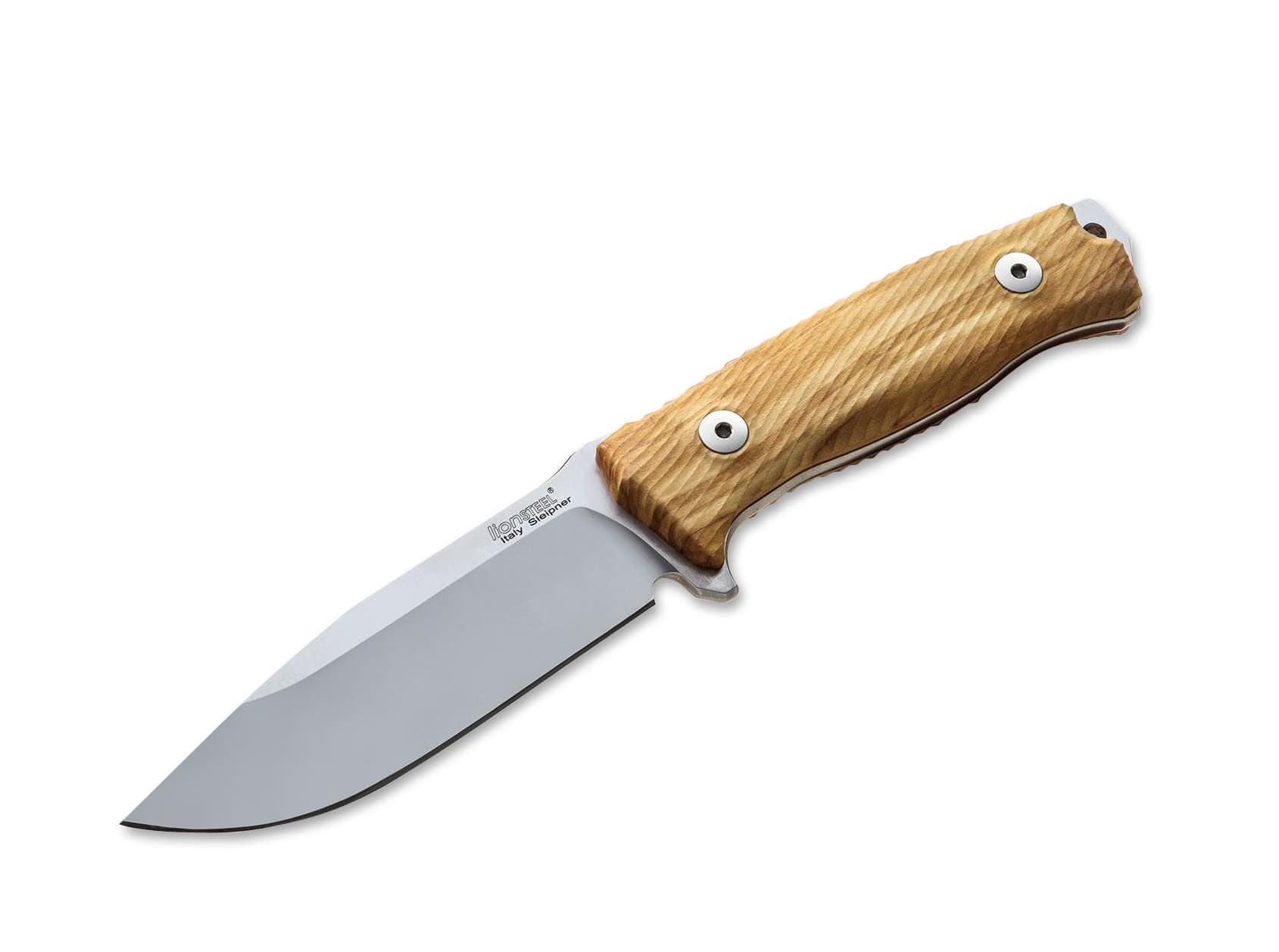 Image de LionSteel - M5 Olive