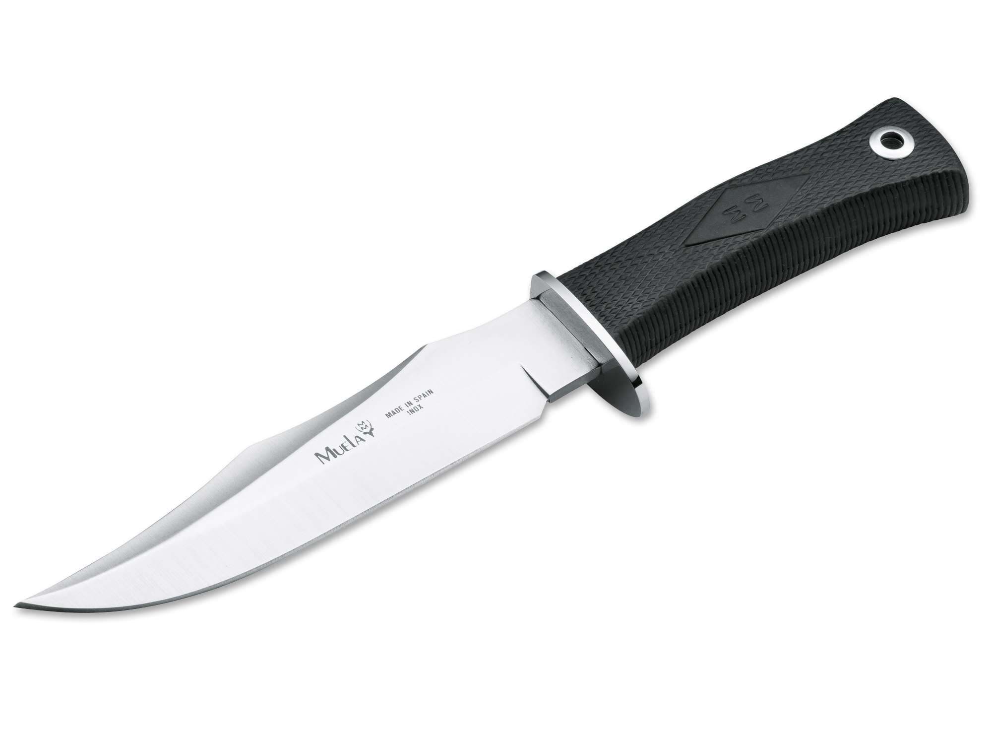 Bild von Muela - Kraton Bowie