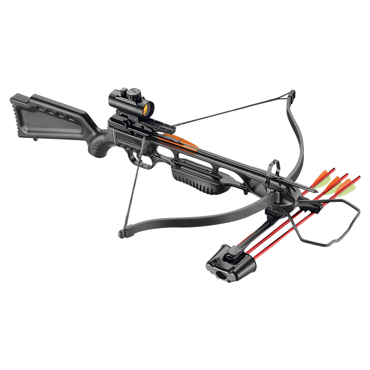 Image de Ek Archery - Jag 1 Black 175 lbs Deluxe