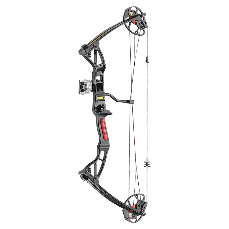 Image de Ek Archery - Rex Black