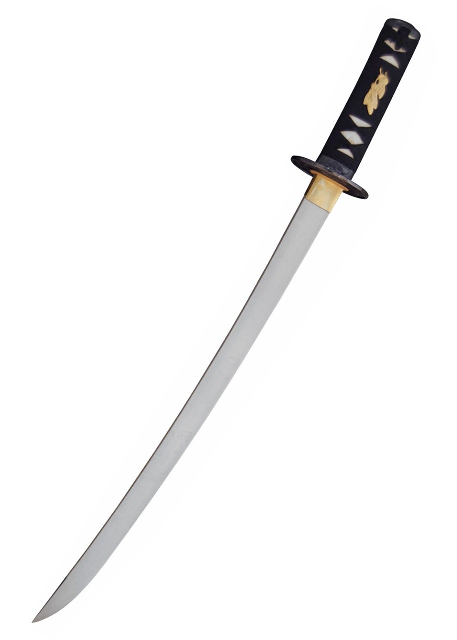 Immagine di Hanwei - Wakizashi Raptor