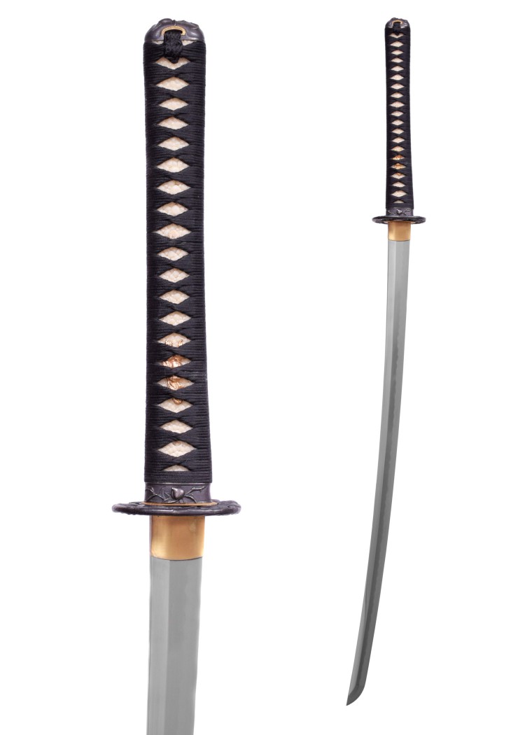 Bild von Hanwei - Monkey Katana