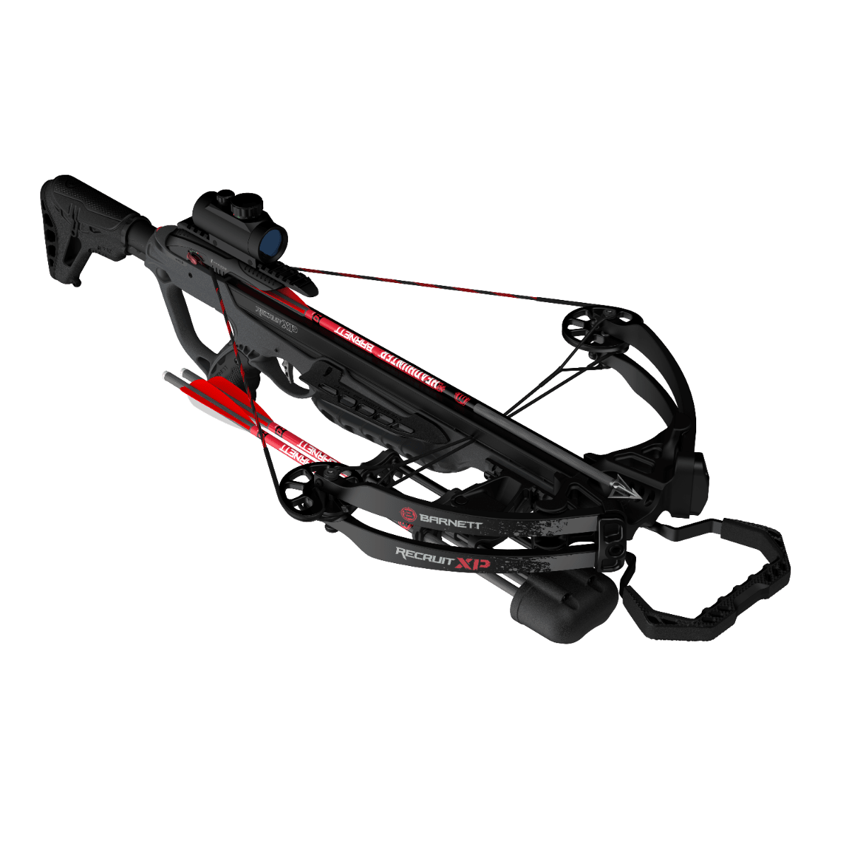 Bild von Barnett - Recruit XP 125 lbs