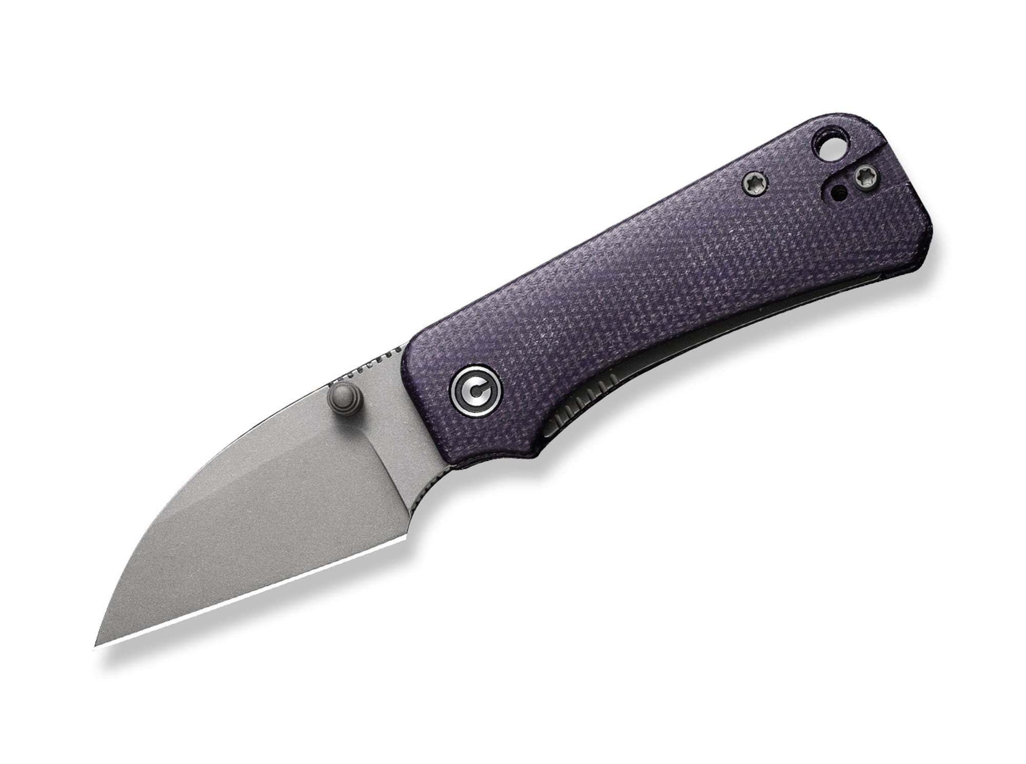 Immagine di CIVIVI - Baby Banter Wharncliffe Micarta Purple