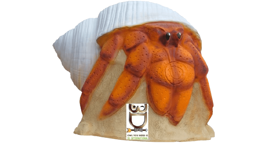 Bild von 3D International - Einsiedlerkrebs