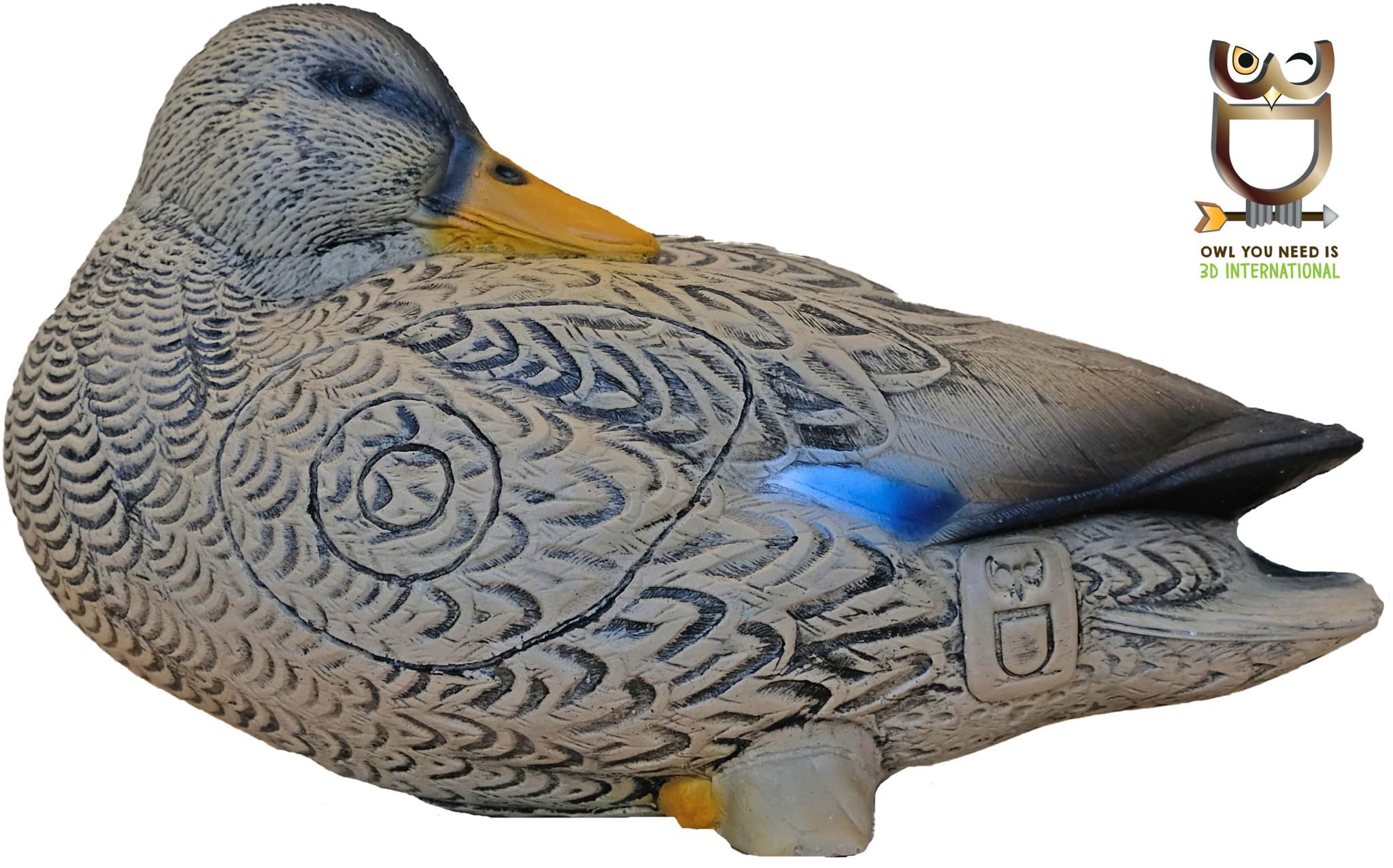 Bild von 3D International - Ente