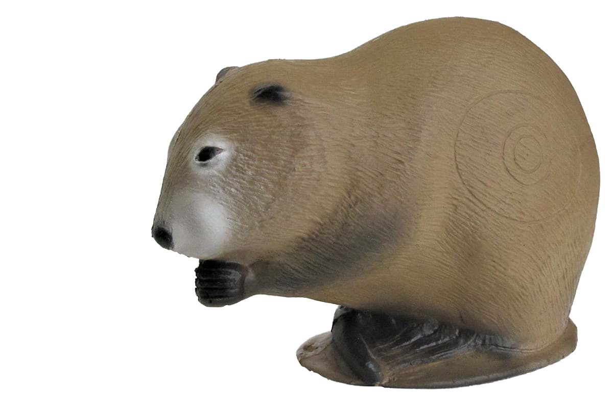 Bild von 3D International - Moschusratte