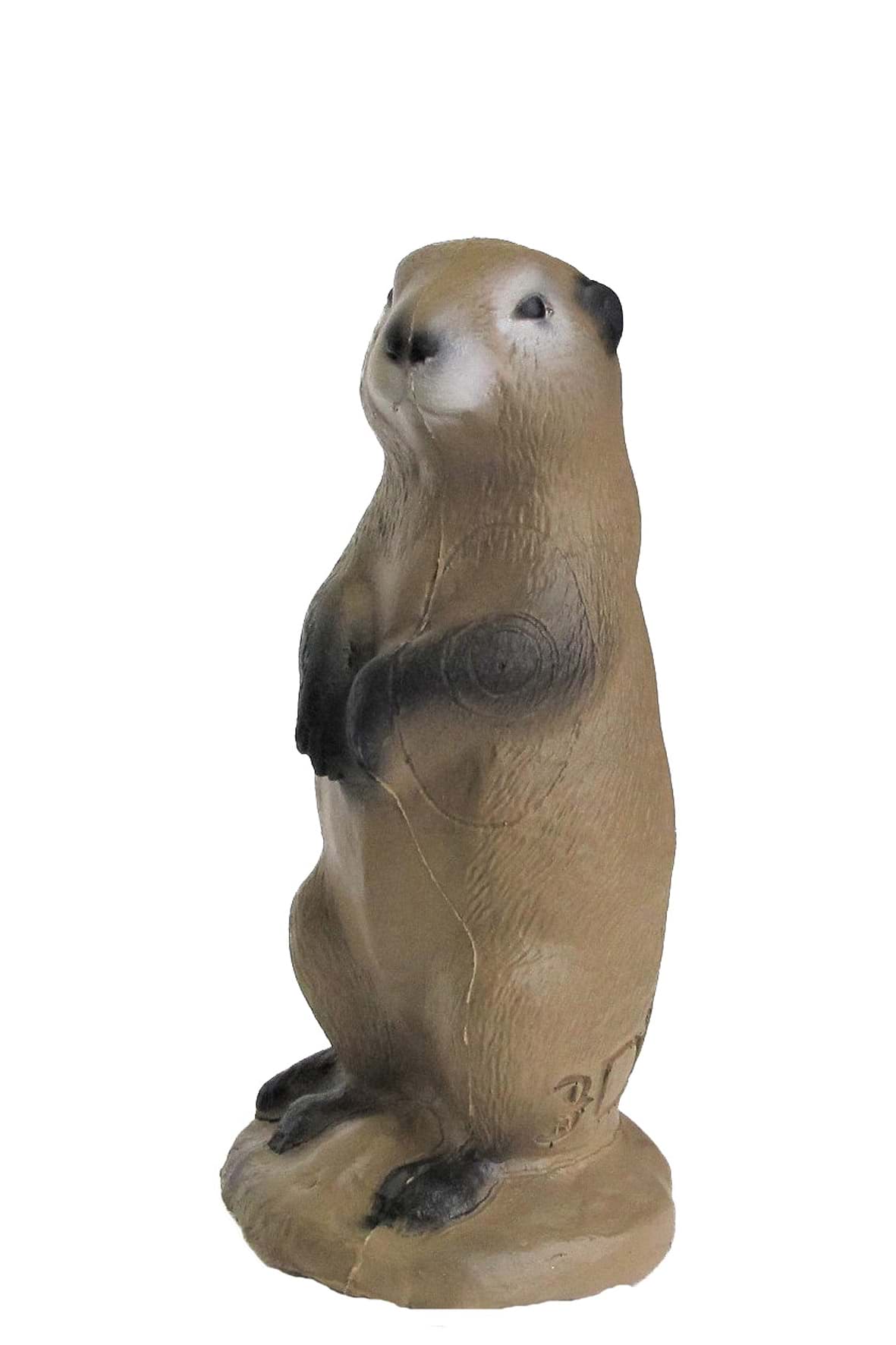 Bild von 3D International - Präriehund