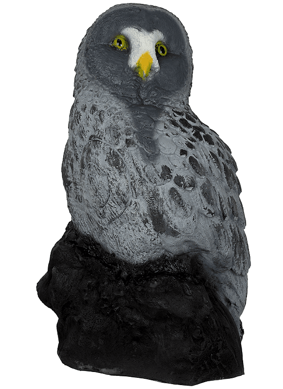 Bild von Wild Life - Schleiereule 48 x 30 x 23 cm