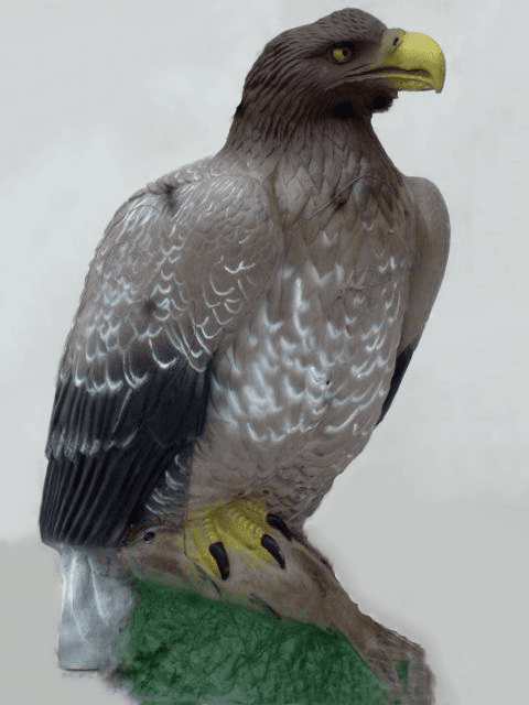 Bild von Natur Foam - Adler