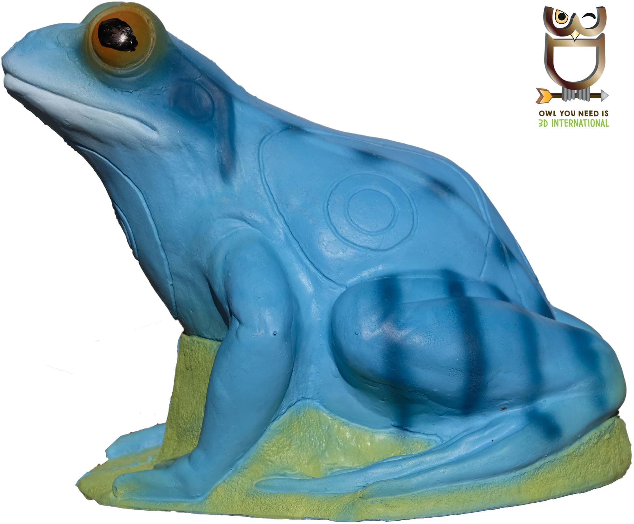 Image de 3D International - Grenouille Bleue 26 x 21 cm