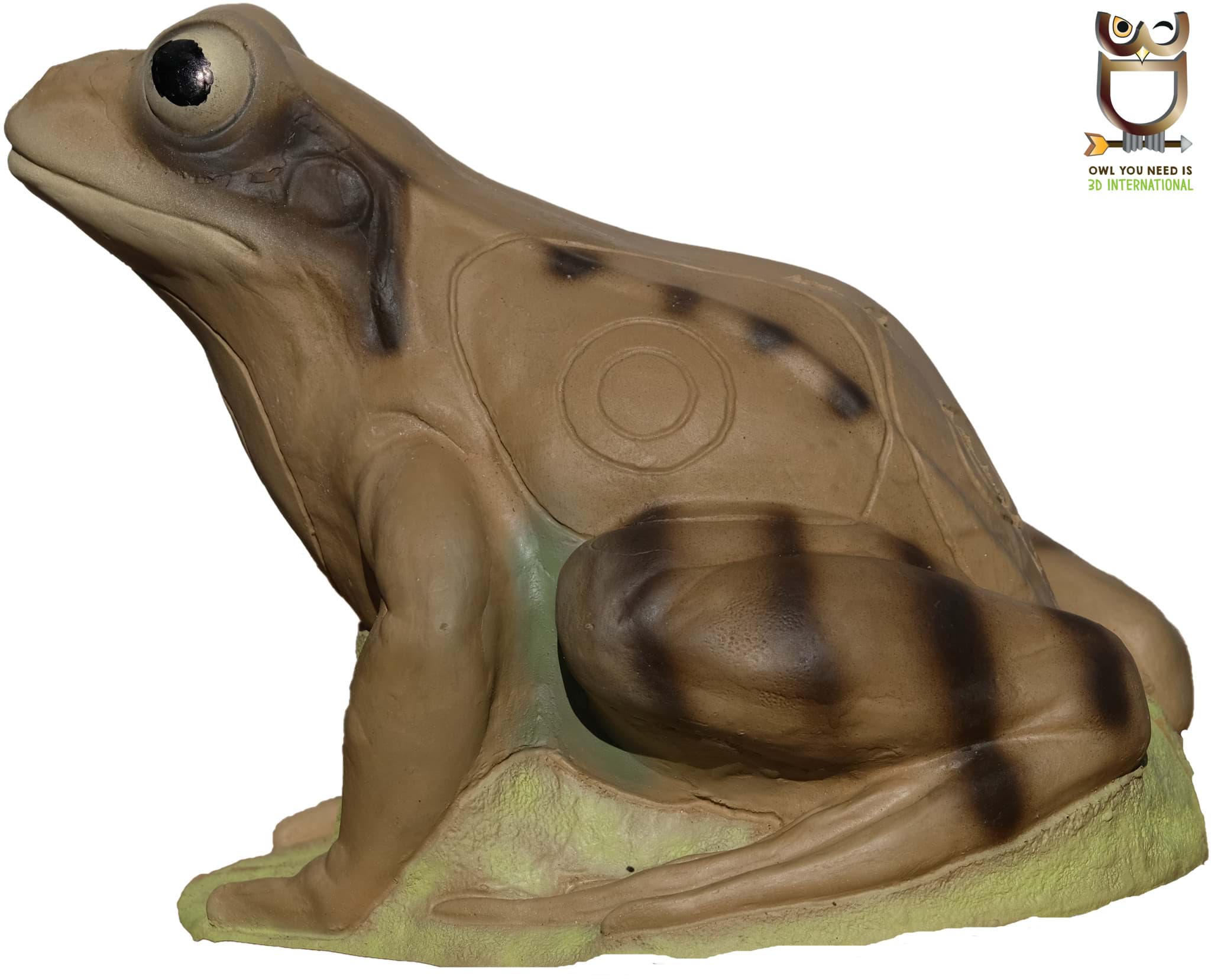 Image de 3D International - Grenouille Brune 26 x 21 cm