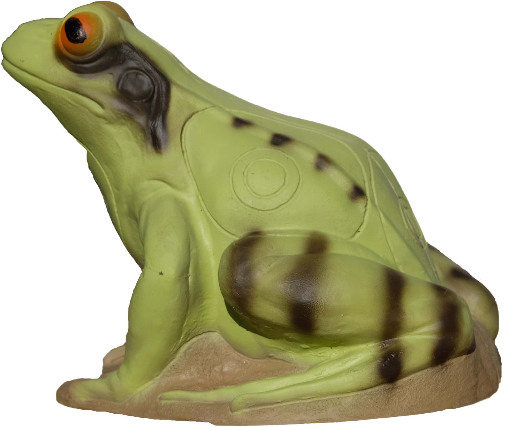 Bild von 3D International - Frosch Grün 26 x 21 cm