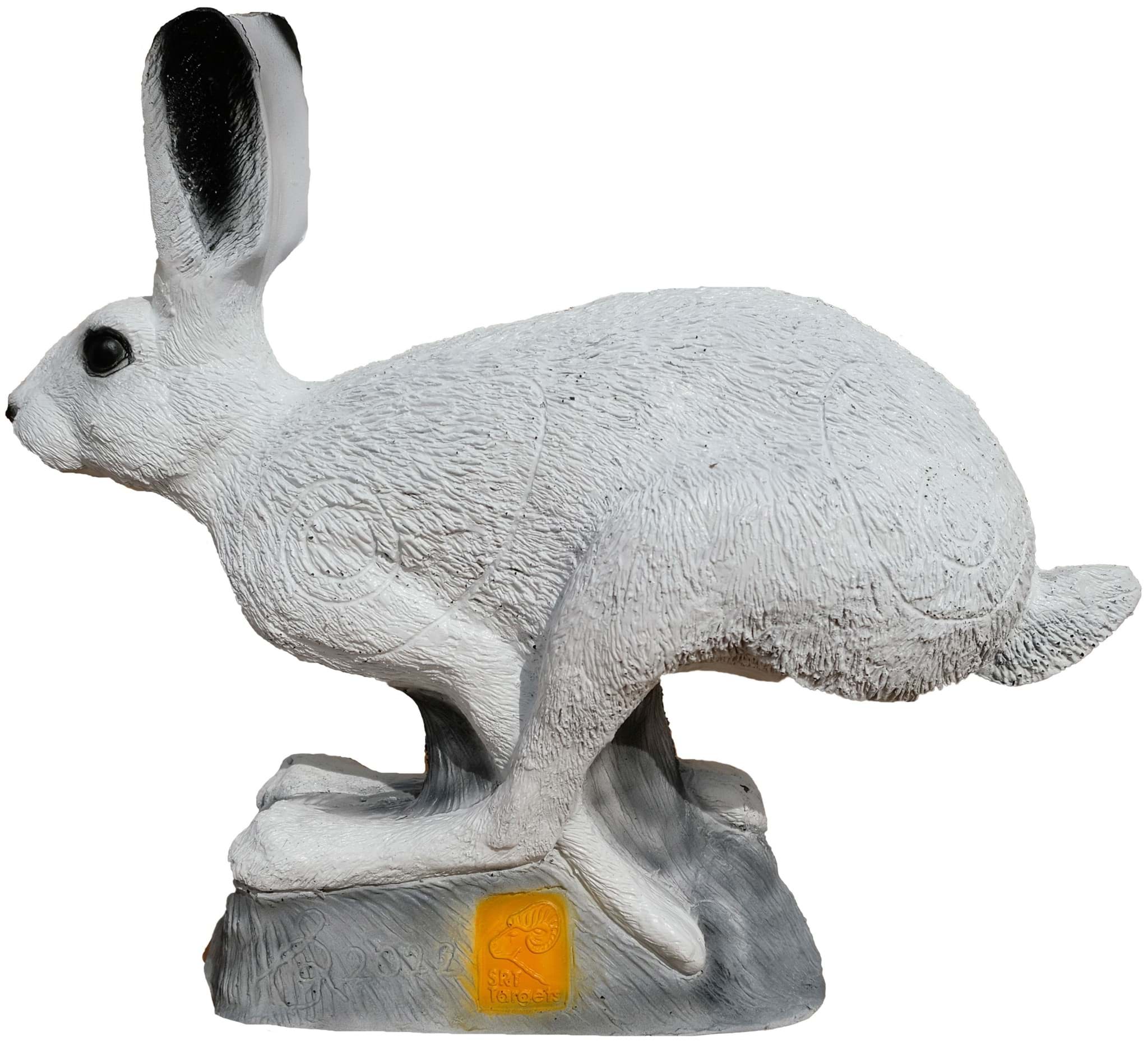 Image de SRT Targets - Lièvre des neiges