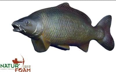 Picture of Natur Foam - Carp