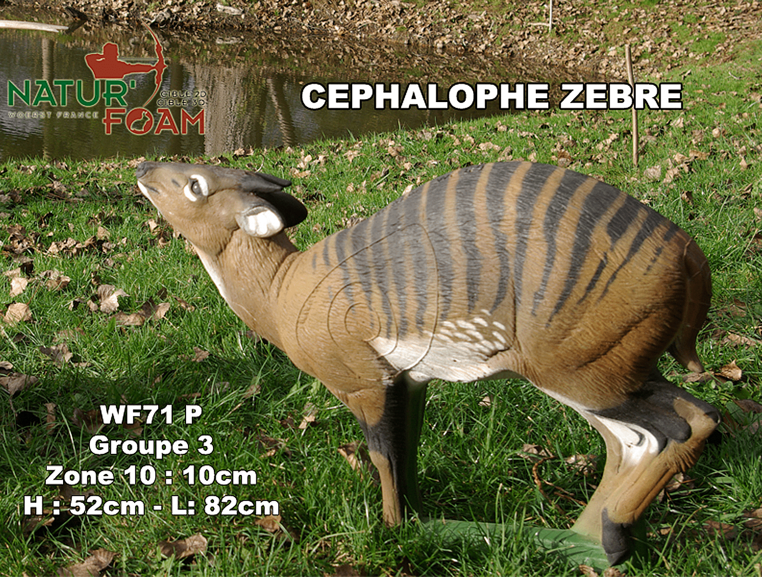 Picture of Natur Foam - Cephalophus Zebra
