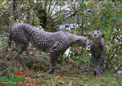 Bild von Natur Foam - Gepard