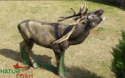 Bild von Natur Foam - Hirsch