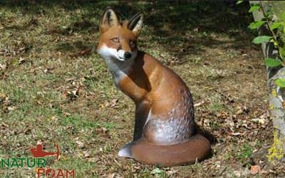 Bild von Natur Foam - Fuchs Sitzend