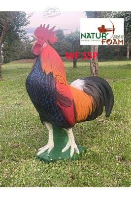 Picture of Natur Foam - Gallic Rooster