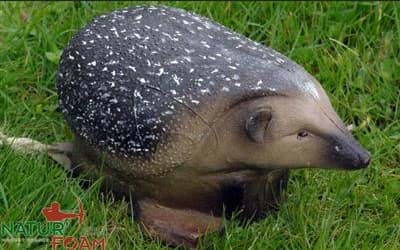 Picture of Natur Foam - Hedgehog