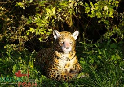 Bild von Natur Foam - Leopard Ruht