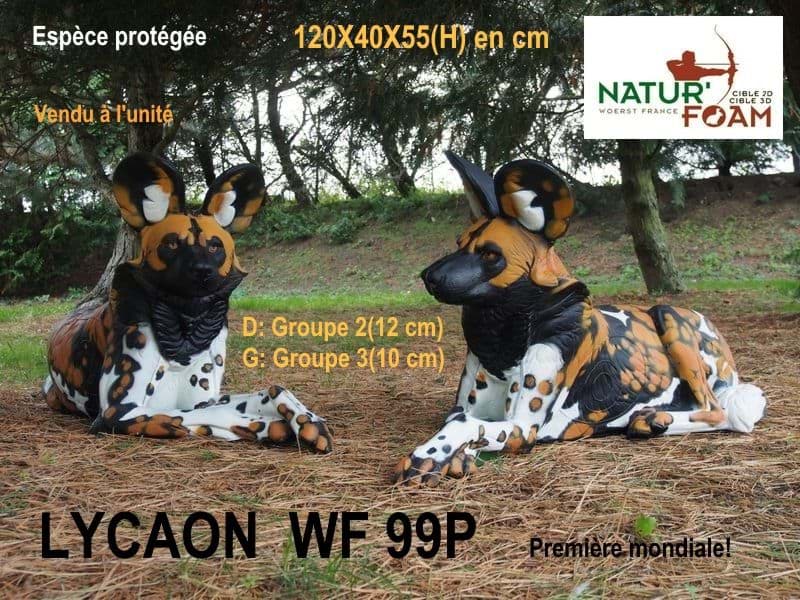 Bild von Natur Foam - Lycaon