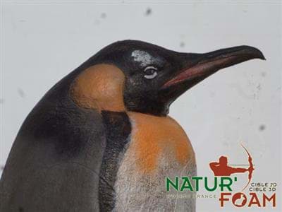 Bild von Natur Foam - Kaiserpinguin