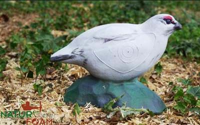 Bild von Natur Foam - Alpenschneehuhn