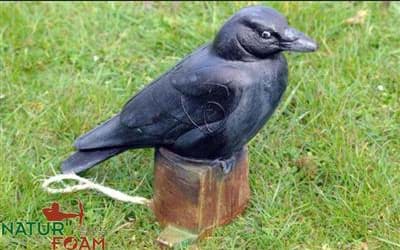 Picture of Natur Foam - Raven