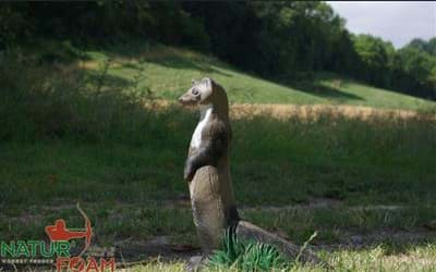 Bild von Natur Foam - Weasel Stehend