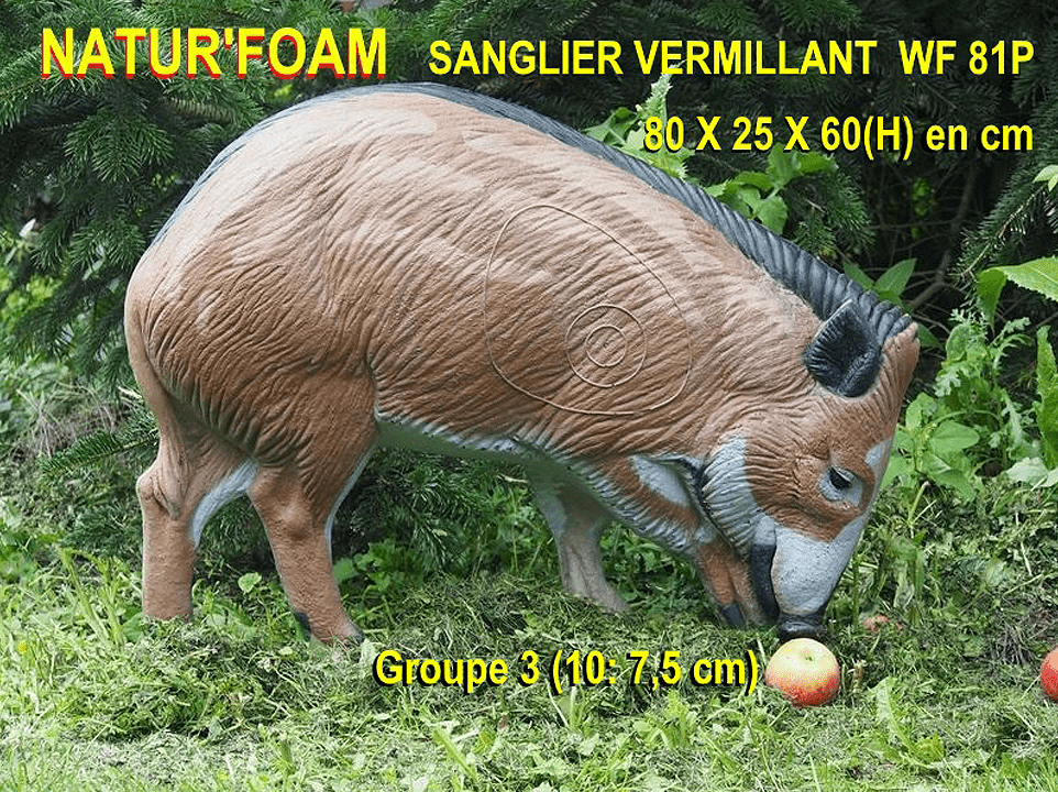 Bild von Natur Foam - Wildschwein Wühlend
