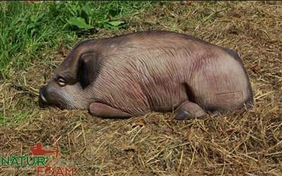 Picture of Natur Foam - Wild Boar Lying