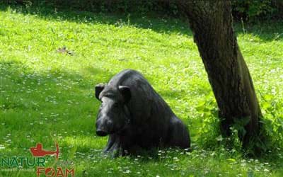 Bild von Natur Foam - Wildschwein Sitzend