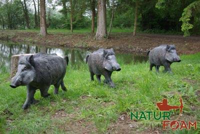 Picture of Natur Foam - Wild Boar Walking