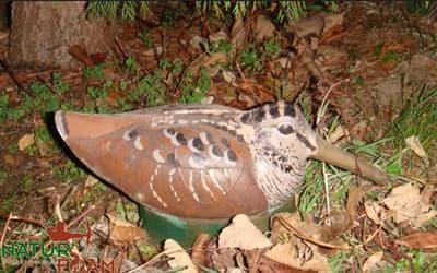 Picture of Natur Foam - Woodcock