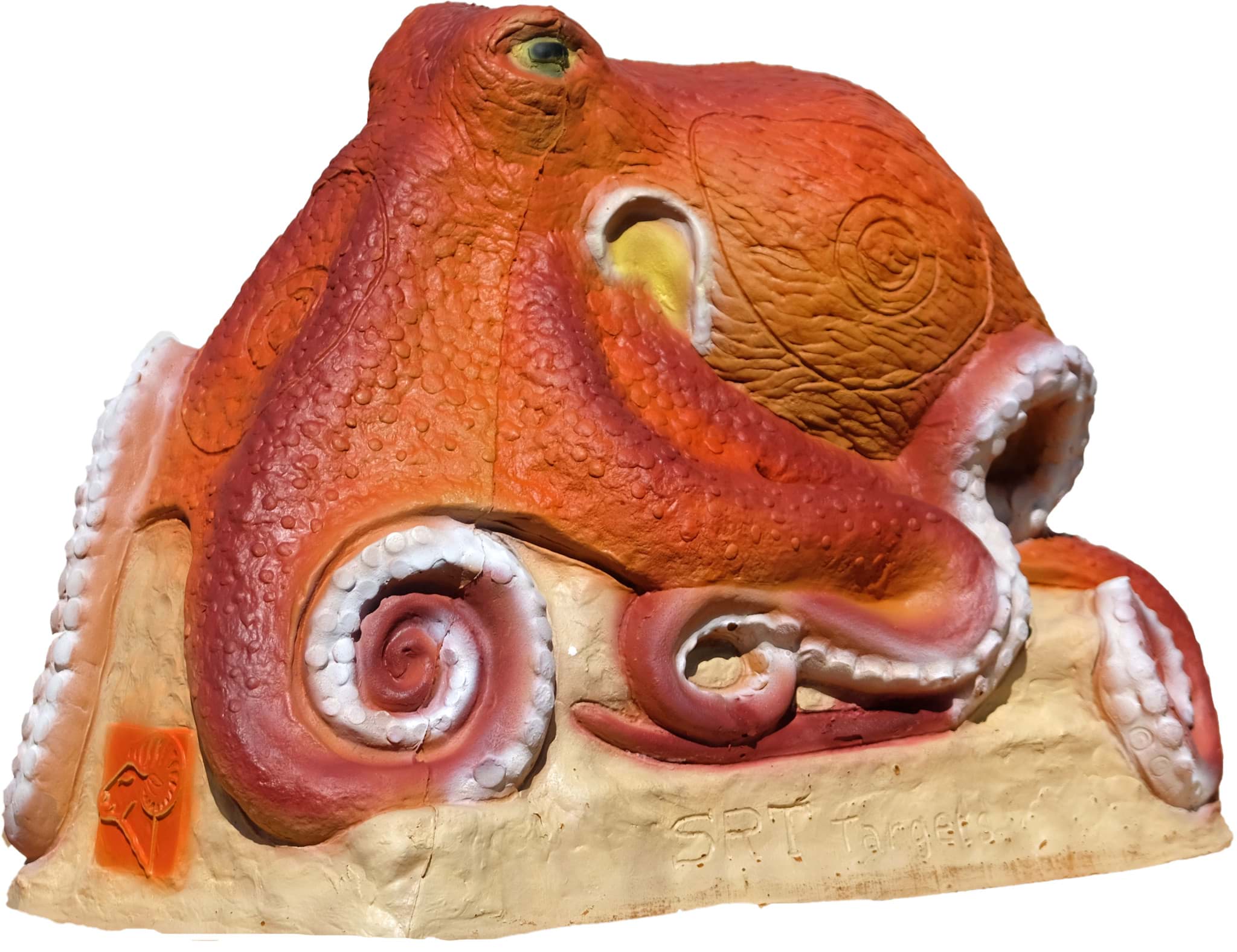 Bild von SRT Targets - Oktopus