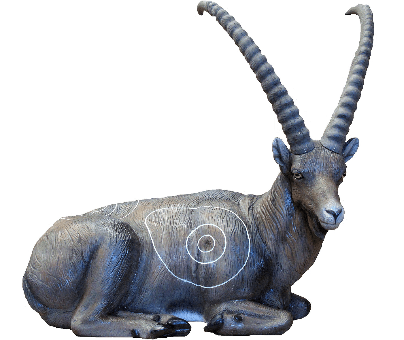 Picture of SRT Targets - Ibex Liegend 96 x 43 cm