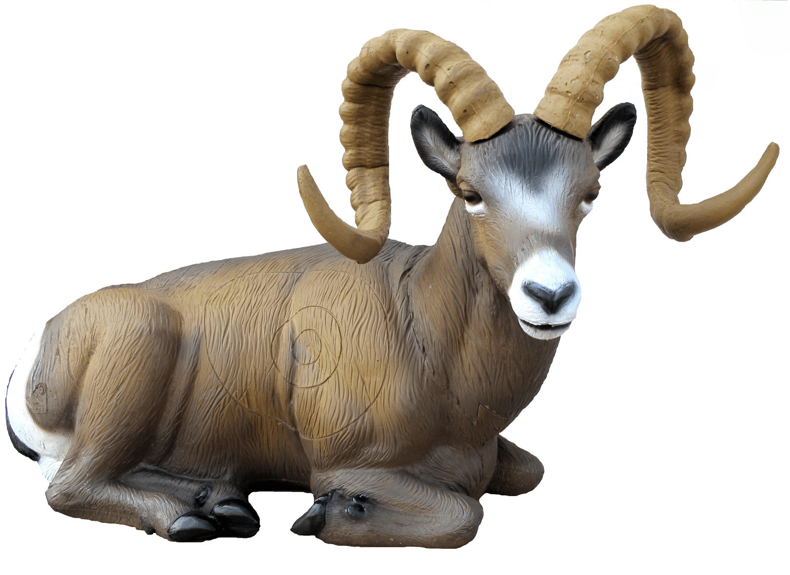 Picture of SRT Targets - Rocky Mountain Sheep Lying 96 x 43 cm