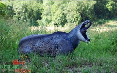 Picture of Natur Foam - Pyrenean Chamois Lying
