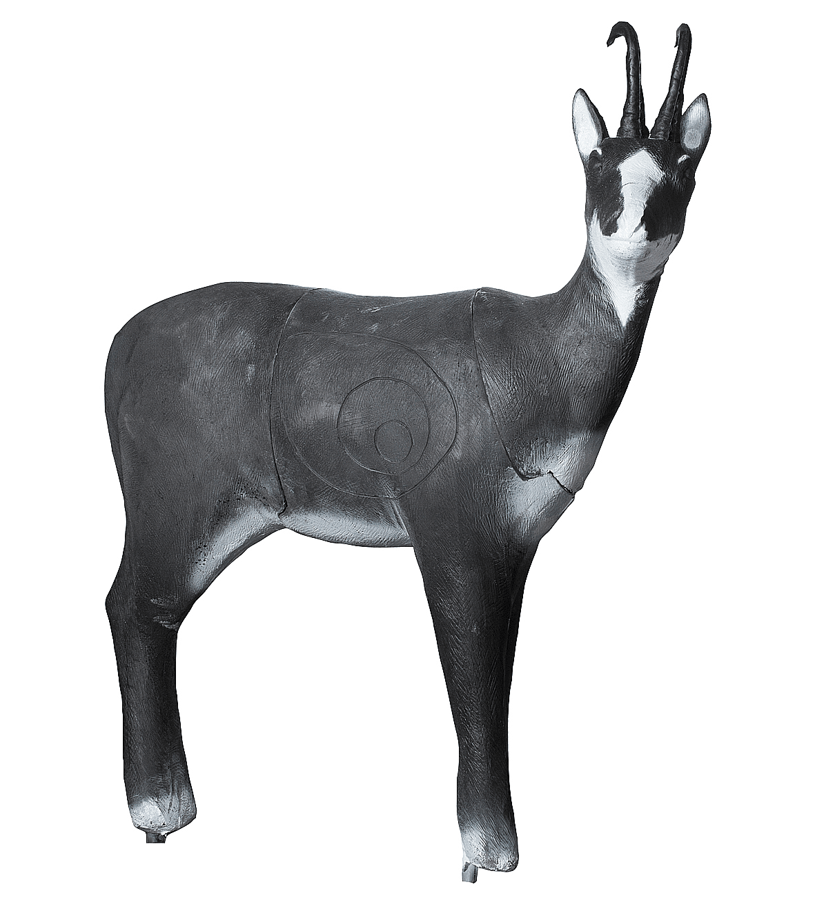 Bild von Wild Life - Gämse 110 x 110 x 32 cm