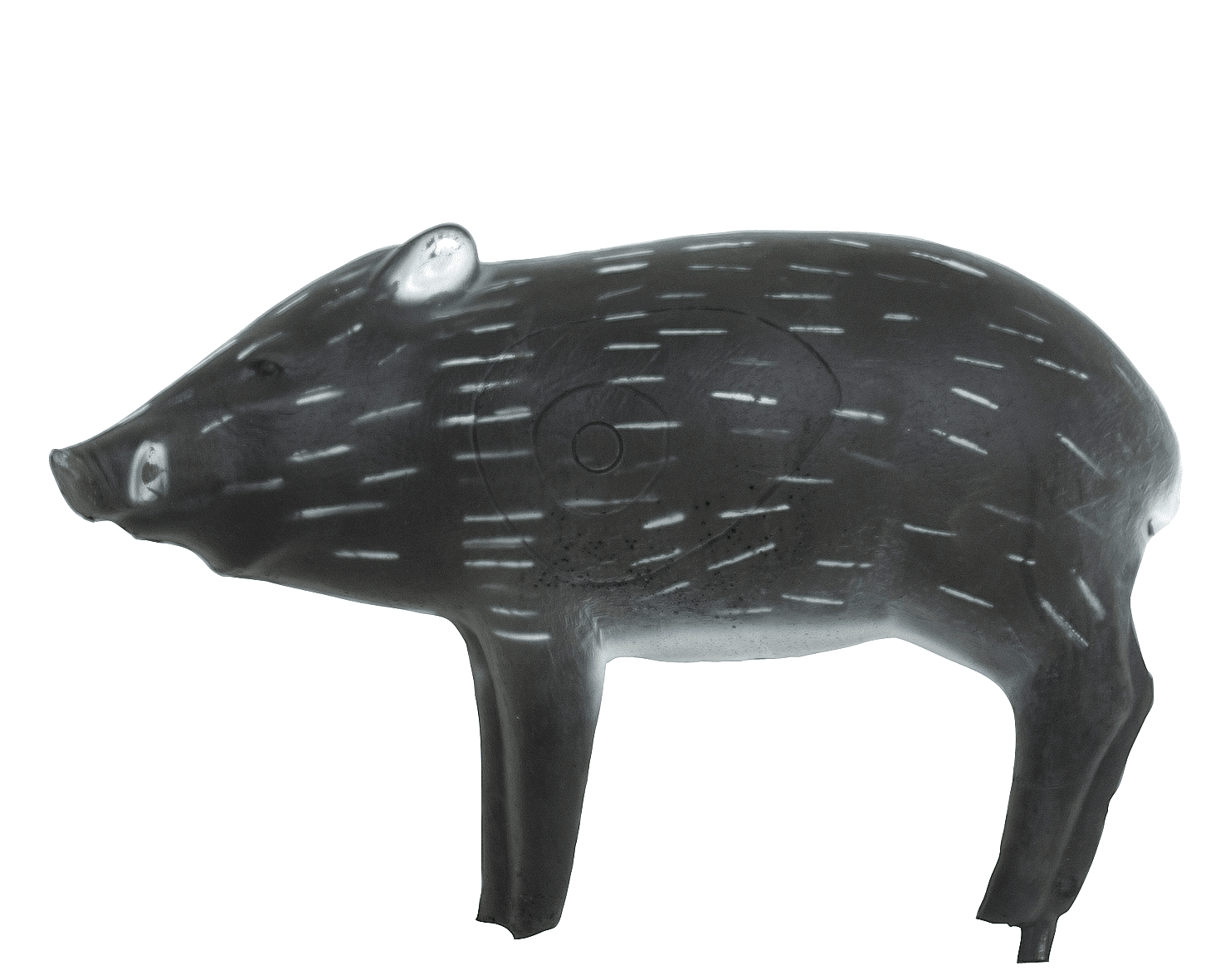 Bild von Wild Life - Pekari 51 x 78 x 30 cm