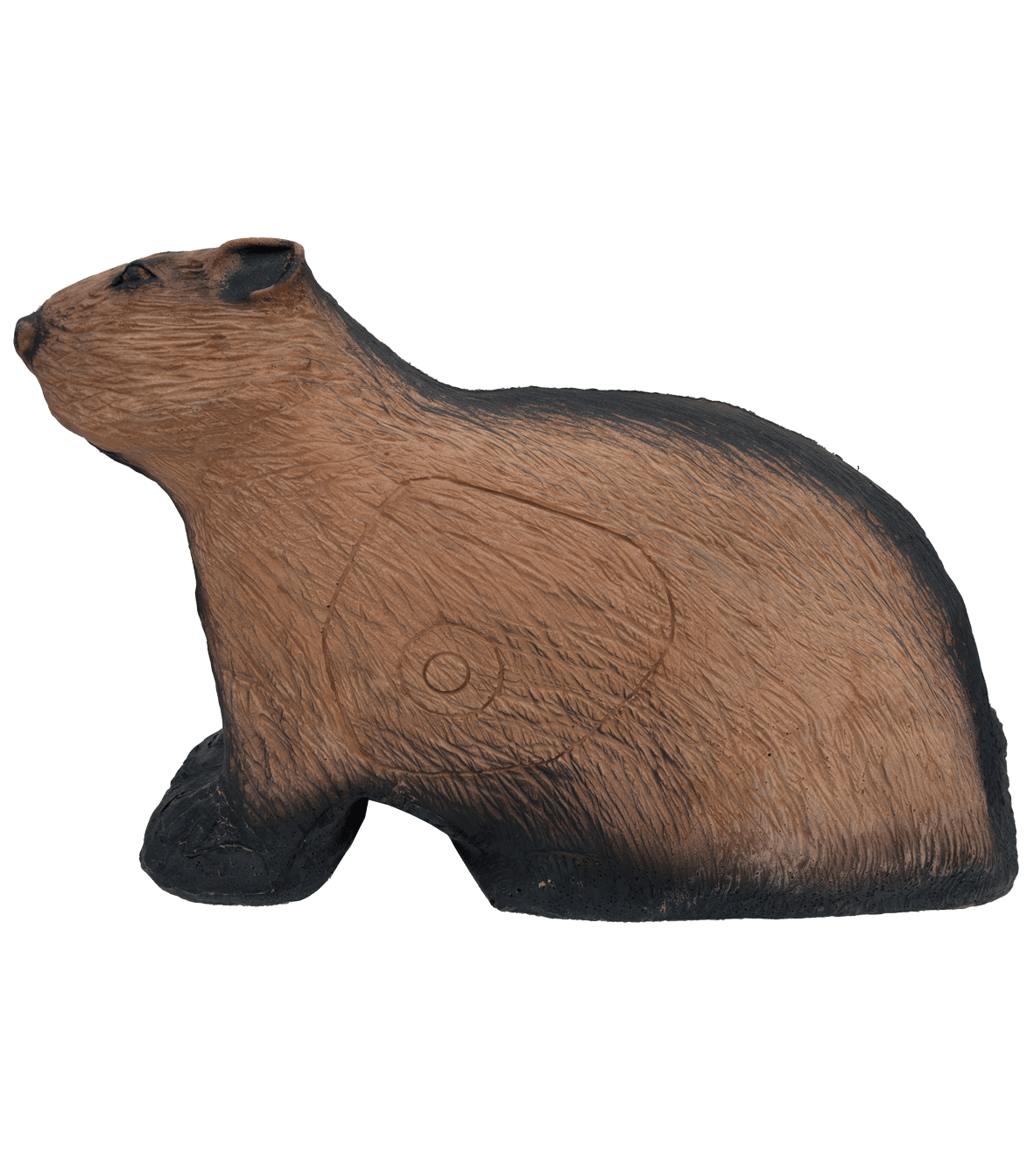 Image de Wild Life - Marmotte 36 x 63 x 30 cm