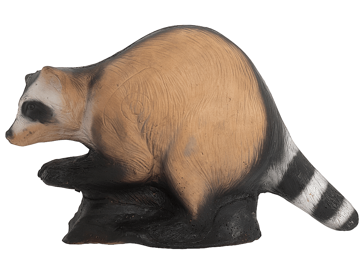 Bild von Wild Life - Waschbär 42 x 58 x 30 cm