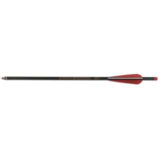 Bild von Maximal - Maxonia Dia 8.8 mm 17" Moonnock mit Spitzen 50er-Pack