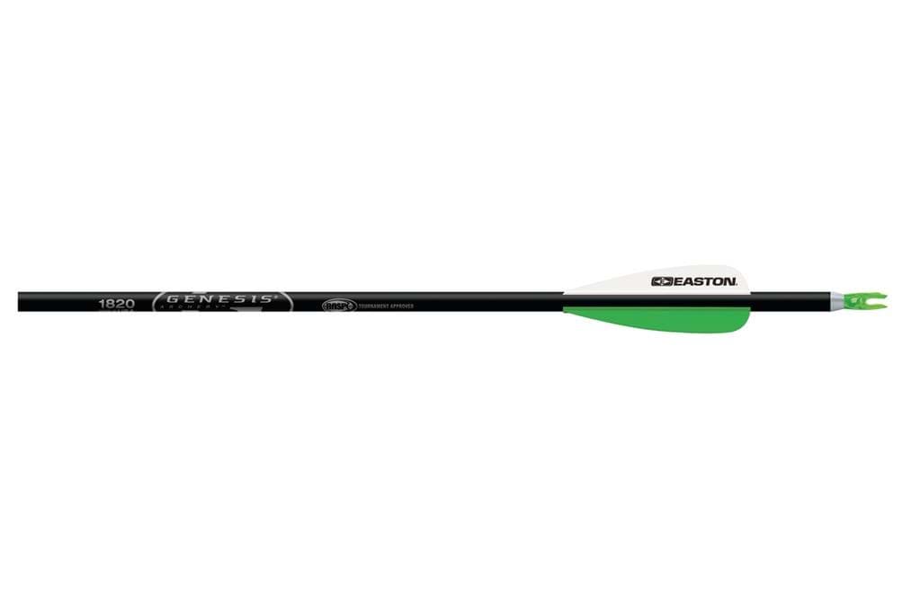 Bild von Easton - Genesis Nasp 1820 30" Black 36er-Pack