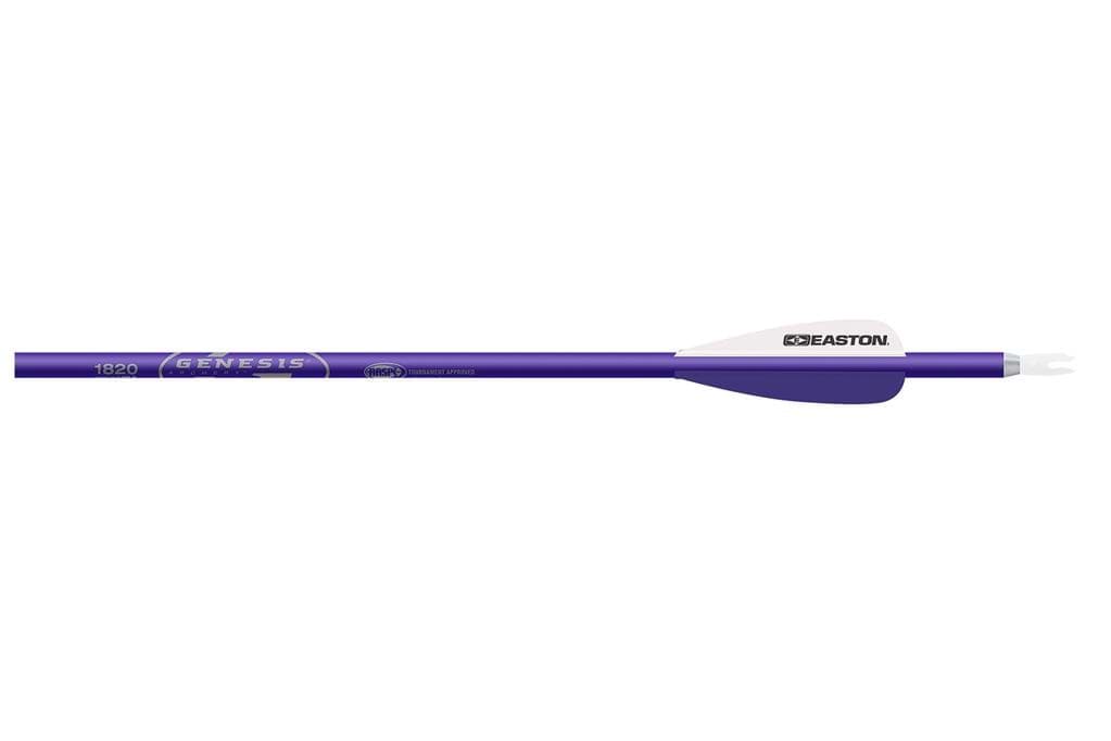 Bild von Easton - Genesis Nasp 1820 30" Purple 6er-Pack