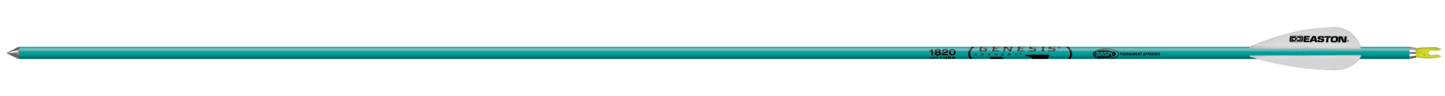 Bild von Easton - Genesis Nasp 1820 30" Teal 36er-Pack