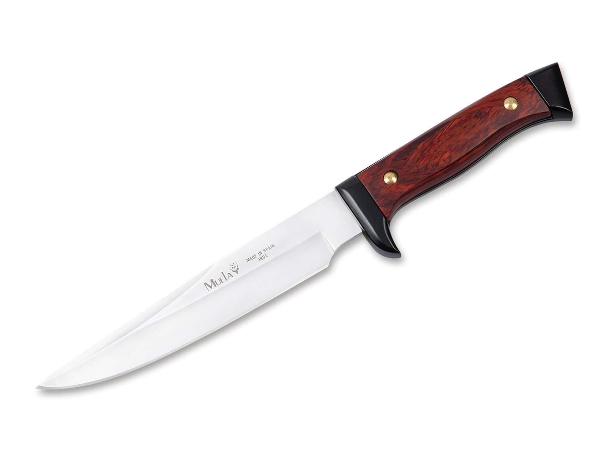 Bild von Muela - 3161-R